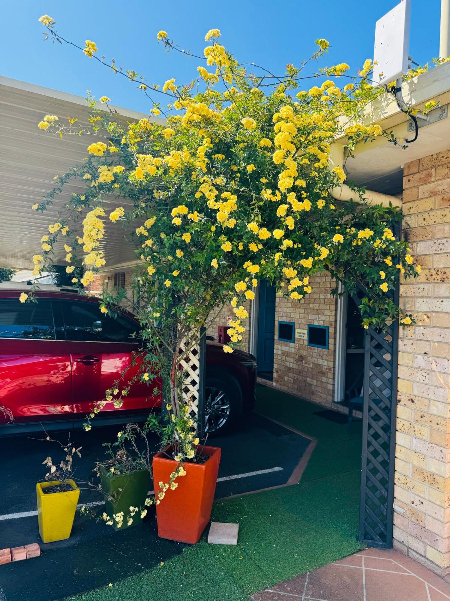 Town And Country Motor Inn Tamworth Esterno foto